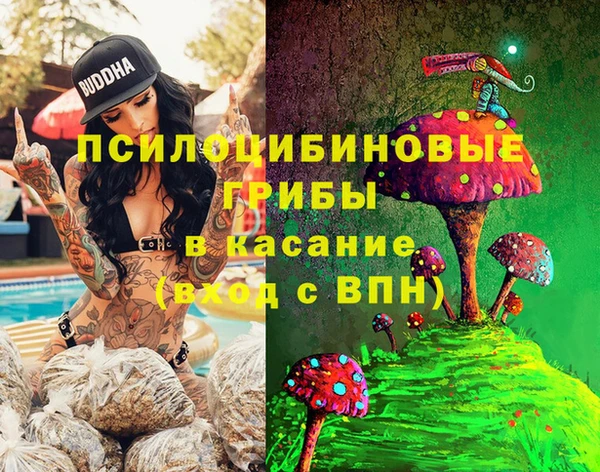 индика Семилуки
