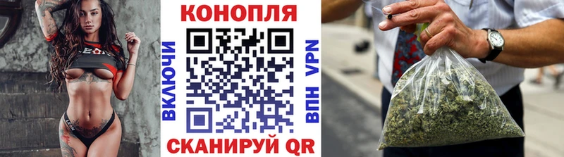 Канабис план  hydra как войти  Покачи  где купить  
